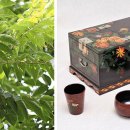 옻나무집 이미지