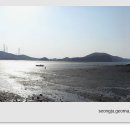 풀내음 이미지