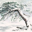 설송