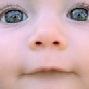 까꿍아기사랑 이미지