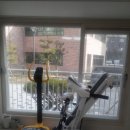 순천덕진의봄 이미지