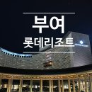 [부여]롯데리조트 아이랑 다녀온 찐후기_콘도 스위트 더블룸 투숙후기 및 부대시설 이용후기
