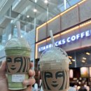 돈먹으러가자 | 일본 마쓰야마 여행 먹부림 후기!