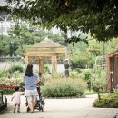 한밭수목원2 이미지