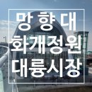 곡암미곡처리장 | 241115 교동도 : 망향대, 화개정원, 대룡시장, 강만장