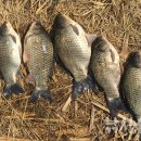 팔봉주유소 이미지