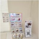 강남애견 이미지