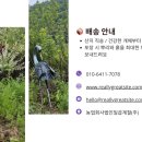 채진농장 이미지