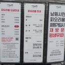 빛의 메시지 | 화려한 빛의 향연 : 남원 피오리움 후기