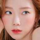 태연 태양광발전소 네이버블로그