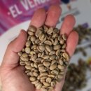 웅지농장 이미지