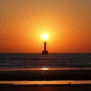 초심이네 이미지