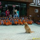 마루유치원 이미지