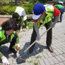 오동도입구 이미지