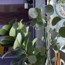 수경빨래방 이미지