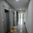 못골사거리 이미지