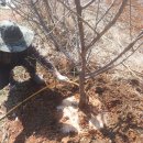 수촌농장 이미지