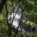 아차산 동행숲길 이미지