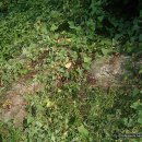 불모산동 이미지