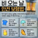 8월4주-우산 쓰고 조심조심(교통안전) 이미지