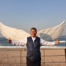 황금로또 이미지