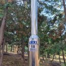 학현4길 | 안중 레포츠공원&amp;학현공원 산책 후기