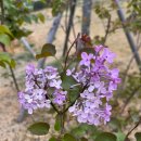 글쓰기로 엄마 마음 챙기기 이미지