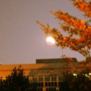 (주)21세기축산