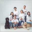 헬로우 독 이미지