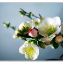 신동농장 이미지