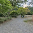 숲에서 | 홍천캠핑 시원한 가을캠핑 맛집 🌲 숲에서 놀자 후기