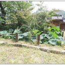 영암수성사 이미지