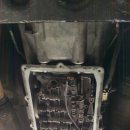 애니카랜드대치점 이미지