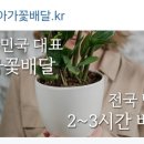 대한민국꽃배달