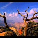 silk road