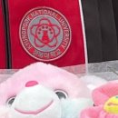 경북대학교 교육대학원 | 2023 경북대학교 교육대학원 합격후기 / 음악교육 / 국악 / 시험정보