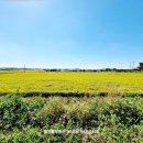 교하투자부동산공인중개사사무소 이미지