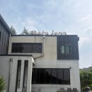일산 수플레 팬케이크 찐맛집! 아늑한 주택 개조 카페 '카페준' (내돈내산 후기)