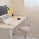 새들 | 자세교정의자 고민 끝에 선택한 발란싯 새들체어 장기 사용 솔직 후기