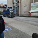 하버타운 앞 교통섬 1 | [공지] 캐나다여행 35일차 아기랑 밴쿠버 빅토리아 섬 당일치기