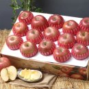 사진촬영 이미지