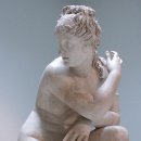 아프로디테 - 세종특별자치시 고운서길 10 | 아프로디테