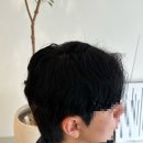 이정아헤어 - 수원시 장안구 경수대로927번길 12-51 | 군산 미용실 | 군산 머리 잘하는곳 :: 이정아헤어S점 수정 디자이너님 시술 후기