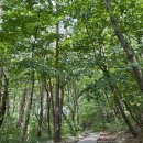 9월13일(토)남설악 여행 (용소폭포-주전골-오색약수)하조대 경유/마감 이미지