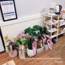 꽃길부동산공인중개사사무소 이미지