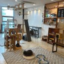 고양이별 캣 카페 이미지