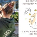 손의개농장 이미지