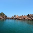 흑산도 Daum카페