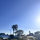 법환동-6 | 11월 여행 서귀포 바다뷰 카페 법환동 콜레트커피