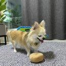 콘박스 이미지